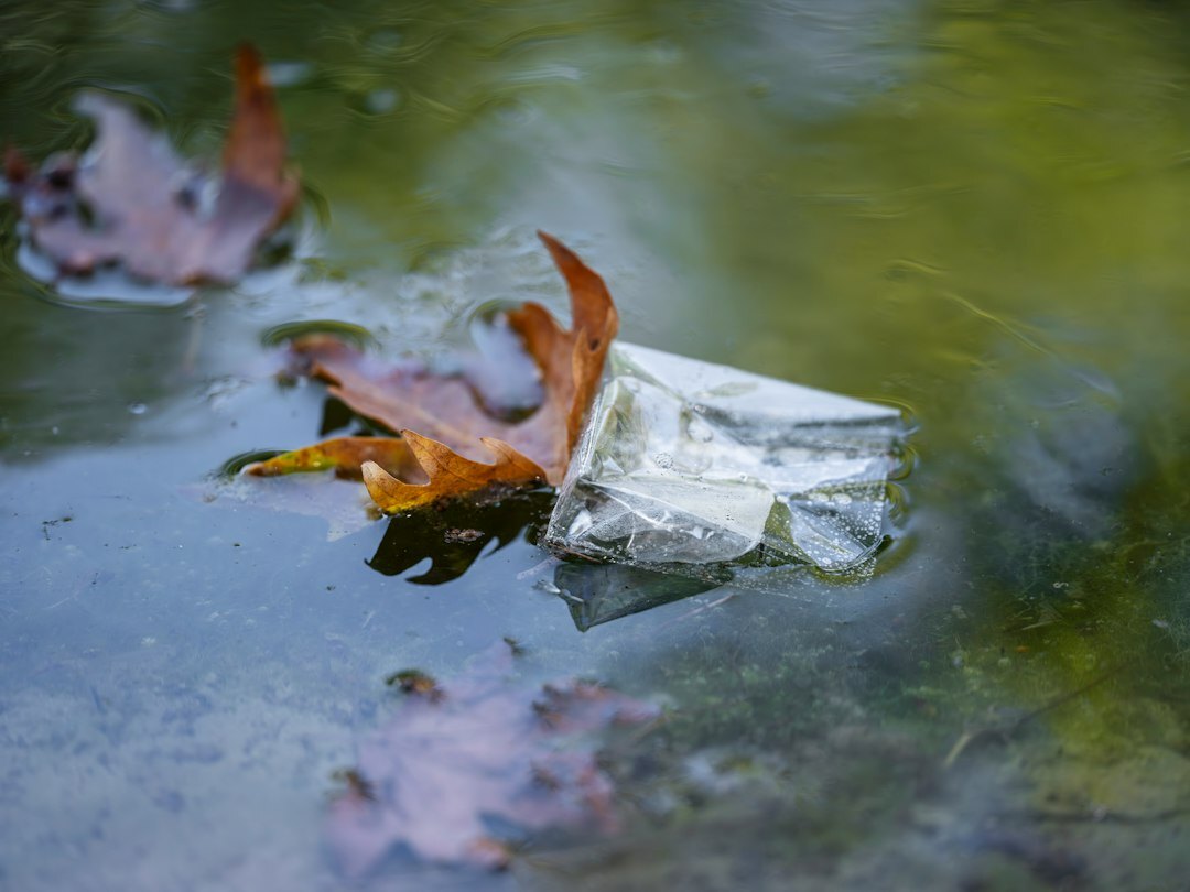 environmental damage in amazon